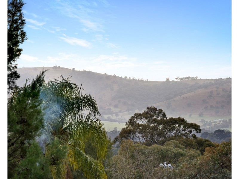 12 Echidna Court, Baranduda VIC 3691