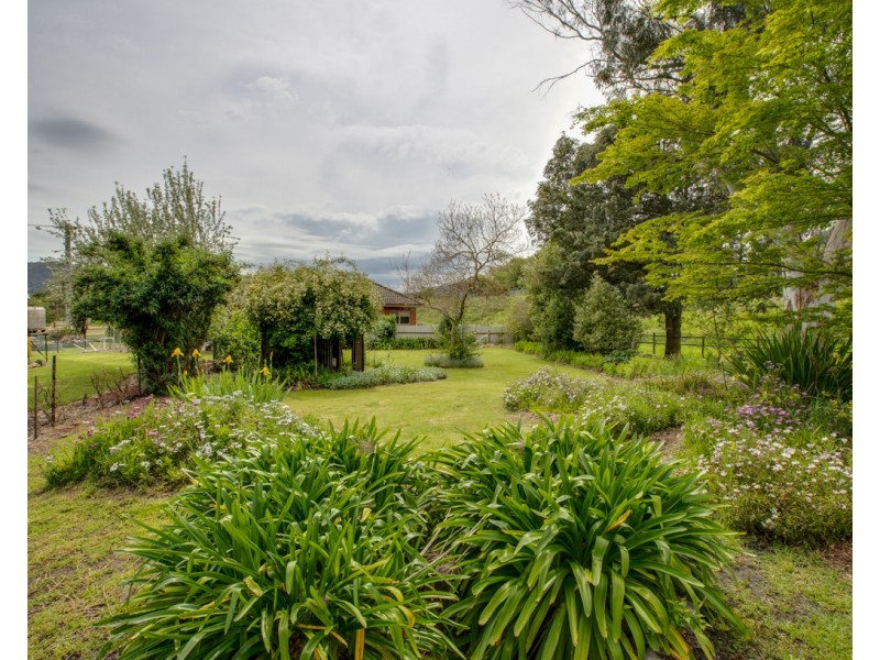 3765 Omeo Highway, Eskdale VIC 3701