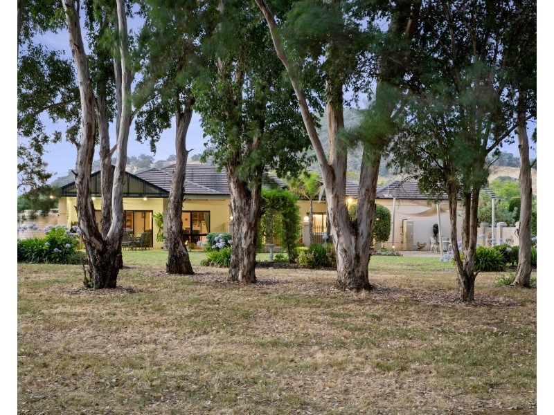 3 Reeve Court, Wodonga VIC 3690