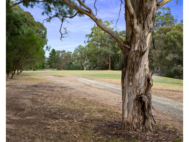 3 Reeve Court, Wodonga VIC 3690