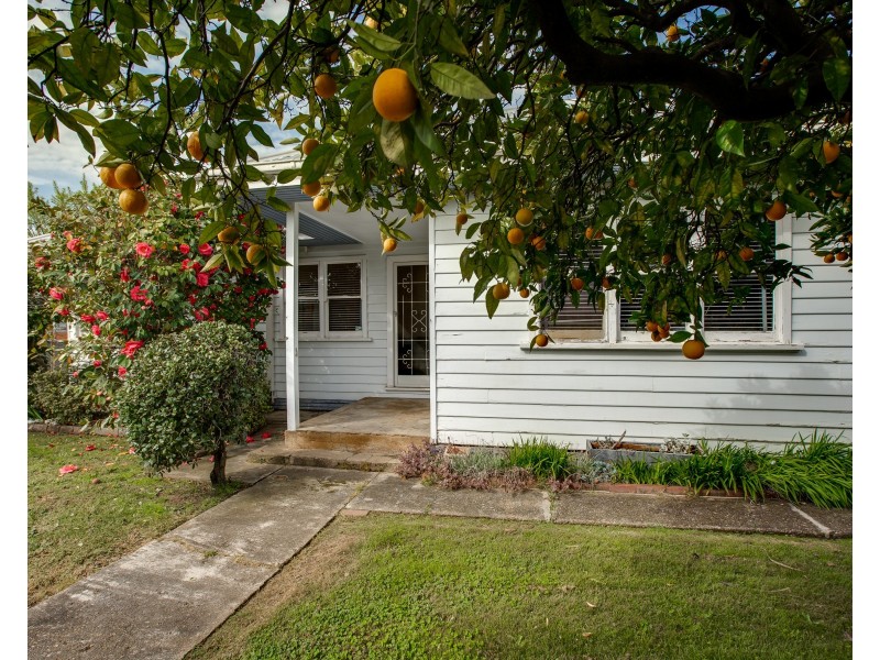 8 MURPHY STREET, Wodonga VIC 3690