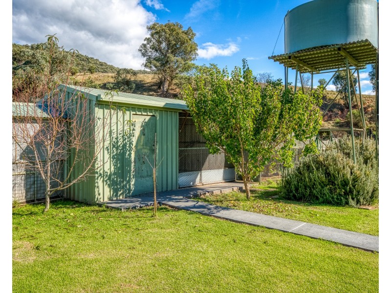 3746 OMEO HIGHWAY, Eskdale VIC 3701