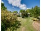 3791 Omeo Highway, Eskdale VIC 3701
