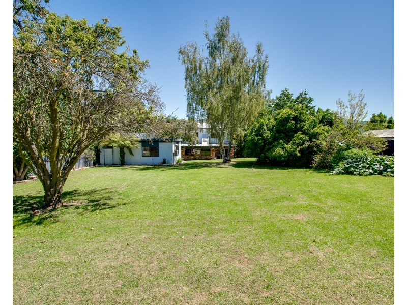 3806 OMEO HIGHWAY, Eskdale VIC 3701