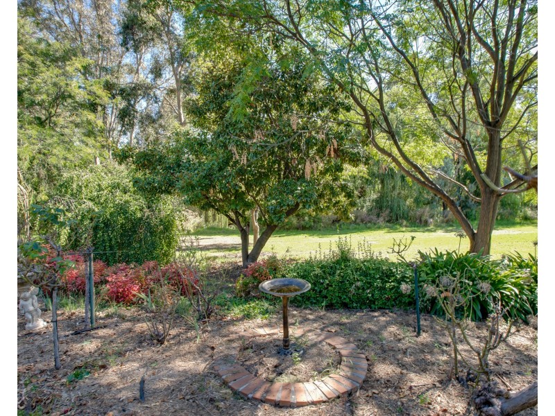 6 Wilkinson Drive, Wodonga VIC 3690
