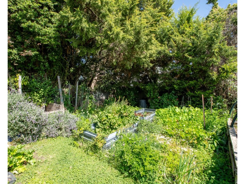155 LAWRENCE STREET, Wodonga VIC 3690