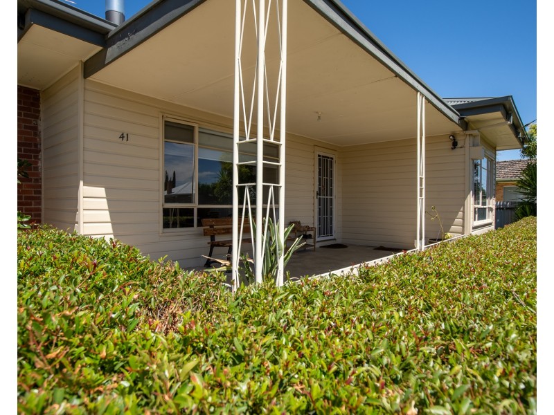 41 Wilson Street, Wodonga VIC 3690