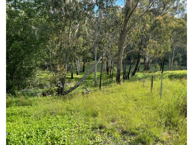 8 Jitema Street, Dartmouth VIC 3701