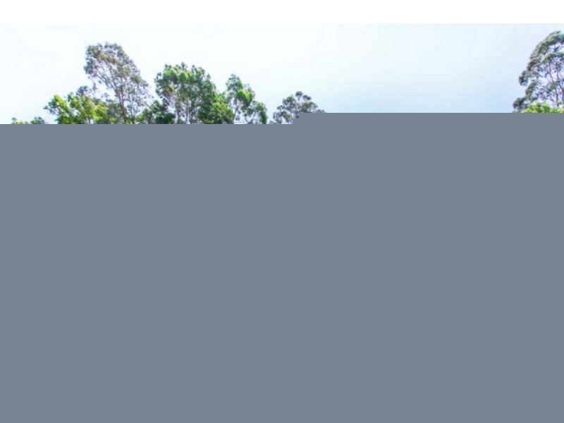 11 Redenbach Court, Swan Reach VIC 3903