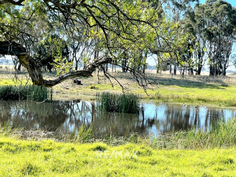 53 Harmans Road, Johnsonville VIC 3902