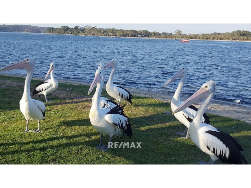 388 Rosherville Road, Metung VIC 3904