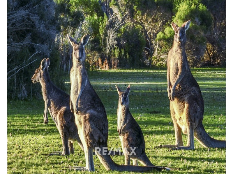 Fraser Island Nyerimilang, Nyerimilang VIC 3909