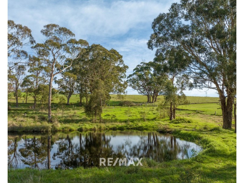 11 Hendersons Lane, Toorloo Arm VIC 3909