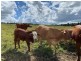 76 Kureelpa Falls Road, Kureelpa QLD 4560