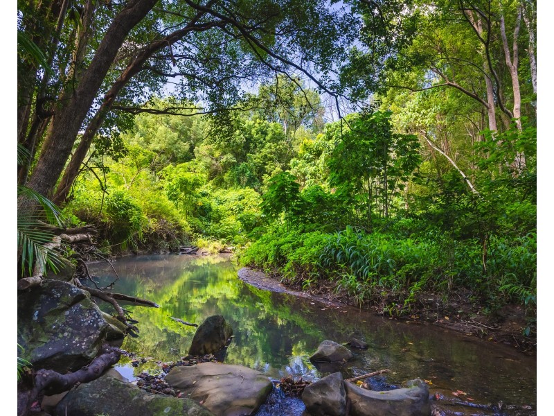 260 King Road, Mooloolah Valley QLD 4553