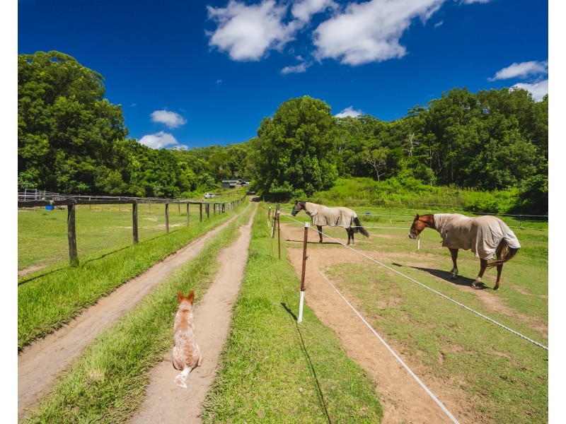 260 King Road, Mooloolah Valley QLD 4553