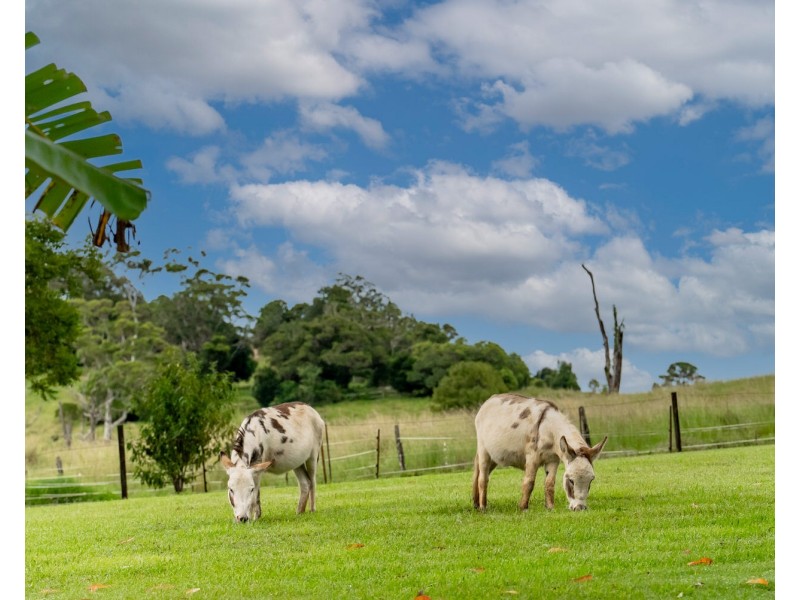 9 Goodey Way, Kureelpa QLD 4560