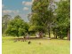 242-254 Kureelpa Falls Road, Kureelpa QLD 4560