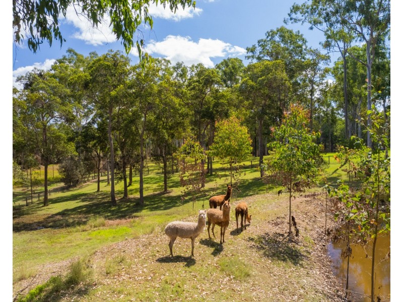 58 Delray Road, Mothar Mountain QLD 4570