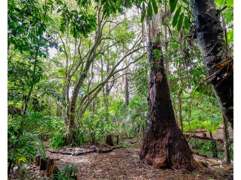 57 Treehaven Way, Maleny QLD 4552