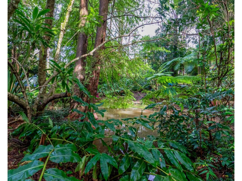 57 Treehaven Way, Maleny QLD 4552