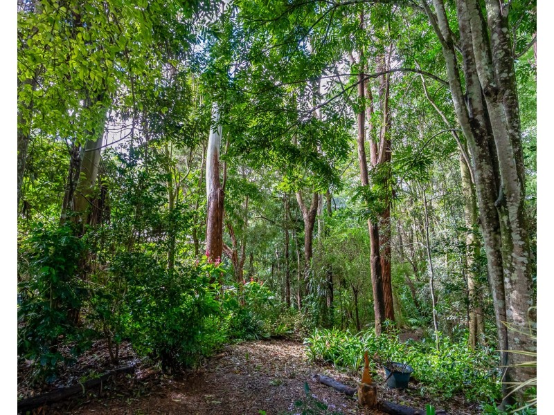 57 Treehaven Way, Maleny QLD 4552