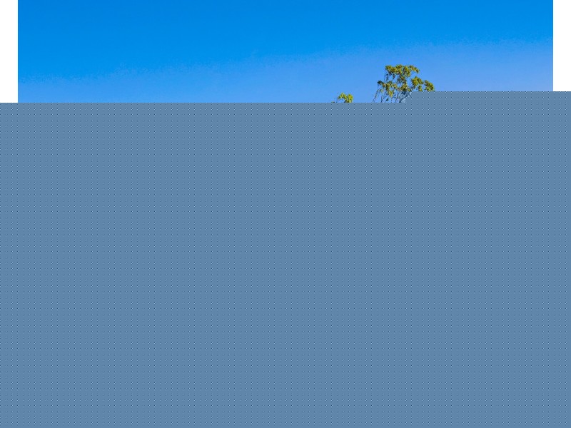 53 Brayden Court, Imbil QLD 4570