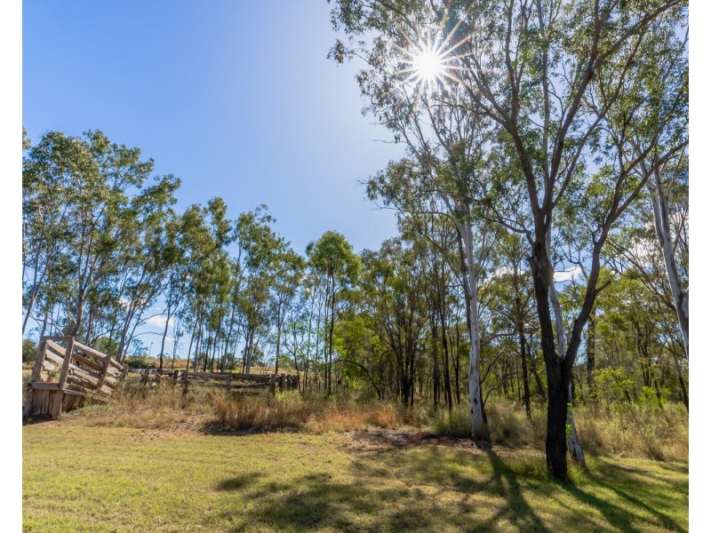 Calliope QLD 4680