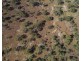 Calliope QLD 4680