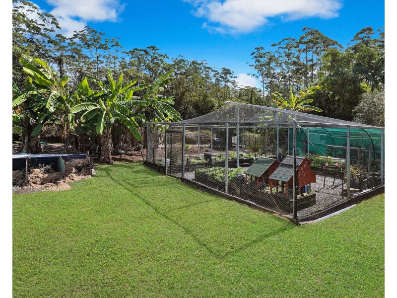 7 Cardinal Court, Palmwoods QLD 4555