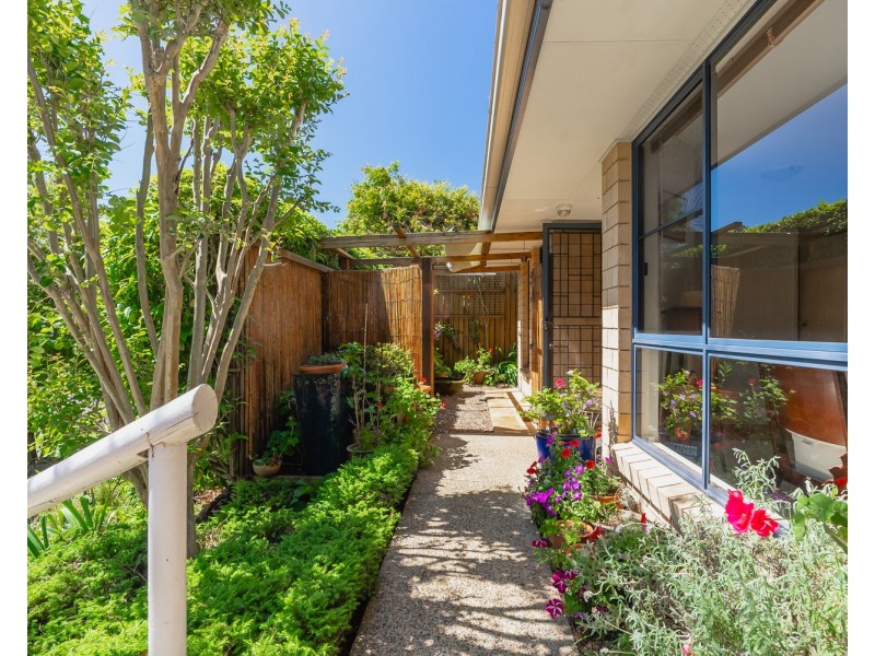 29 Cedar Grove Court, Maleny QLD 4552