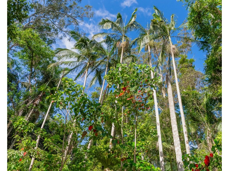 22 Countryview Street, Woombye QLD 4559