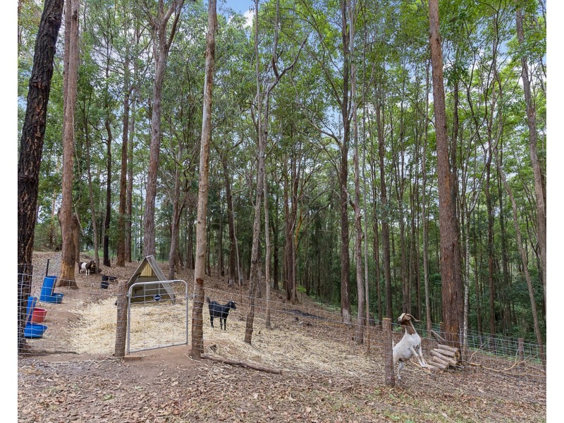 100 Eudlo School Road, Eudlo QLD 4554