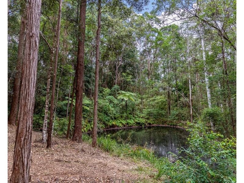 100 Eudlo School Road, Eudlo QLD 4554