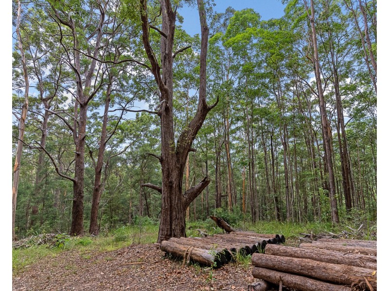 100 Eudlo School Road, Eudlo QLD 4554