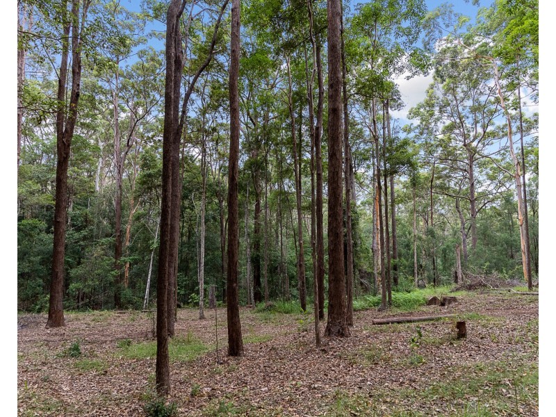 100 Eudlo School Road, Eudlo QLD 4554