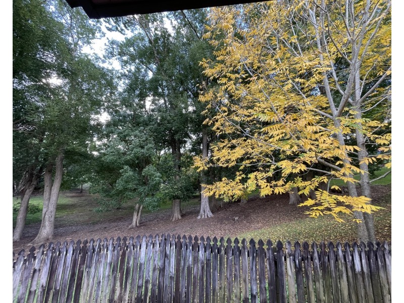 43 Upper Wakefield Street, Woombye QLD 4559