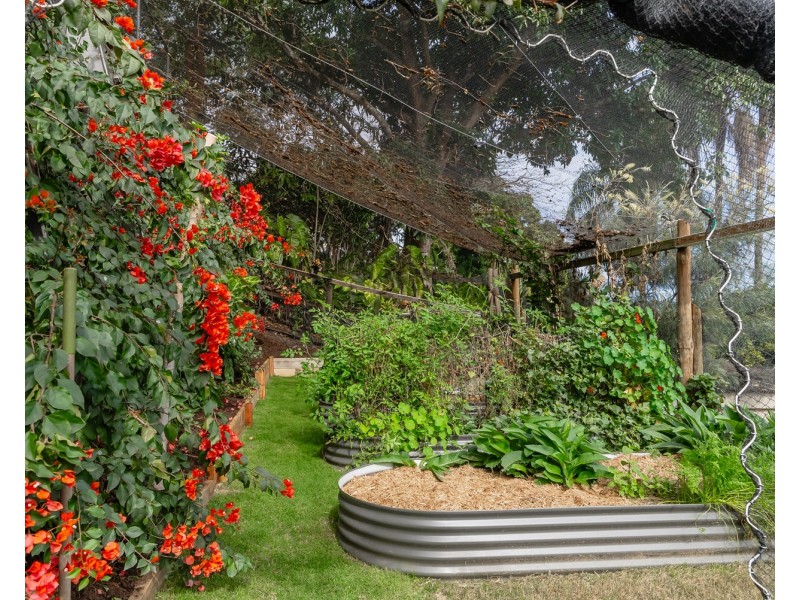 8 Kooyonga Court, Nambour QLD 4560