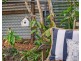 14 Laurel Avenue, Nambour QLD 4560
