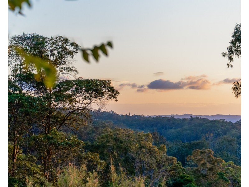 84 Jones Road, Buderim QLD 4556