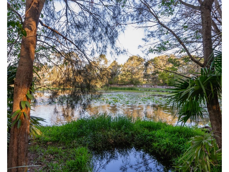 17 Lakeshore Place, Little Mountain QLD 4551