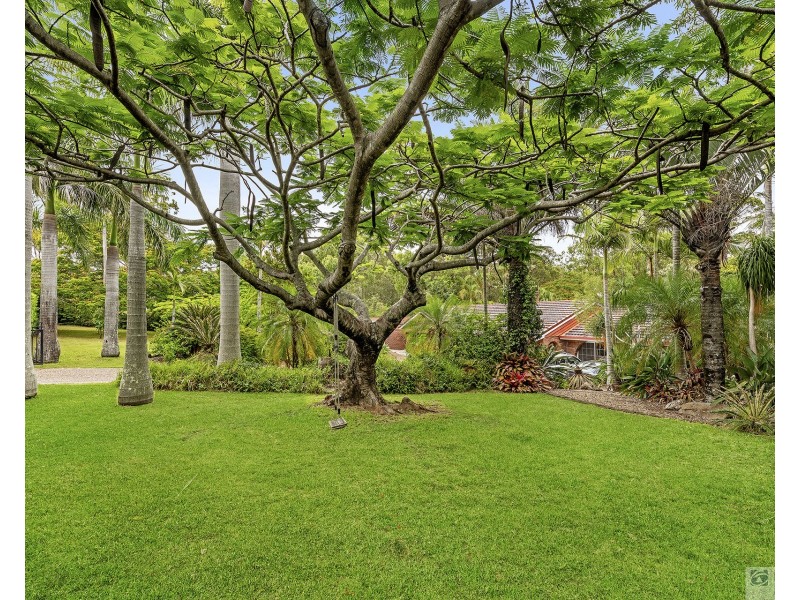 6 Nakula Street, Gaven QLD 4211