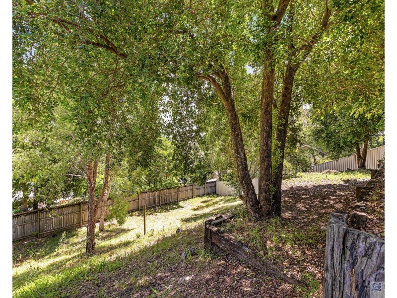 25 Quigan Terrace, Highland Park QLD 4211