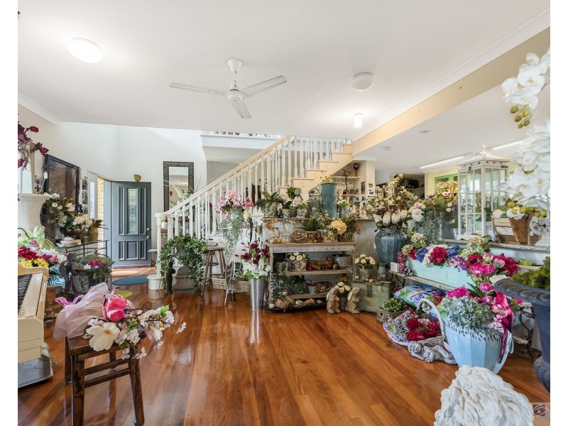 11 Conadilly Court, Carrara QLD 4211