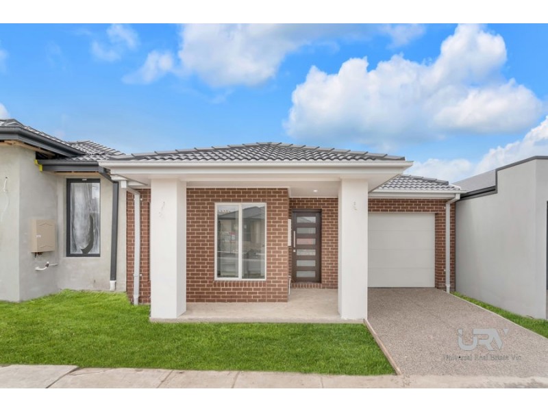 43 Bowenia Avenue, Craigieburn VIC 3064