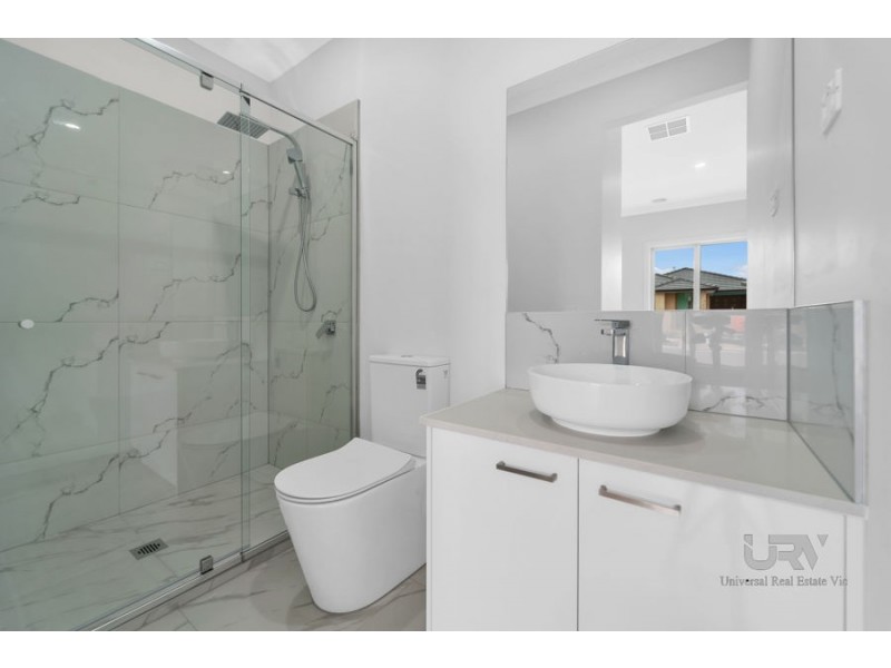43 Bowenia Avenue, Craigieburn VIC 3064