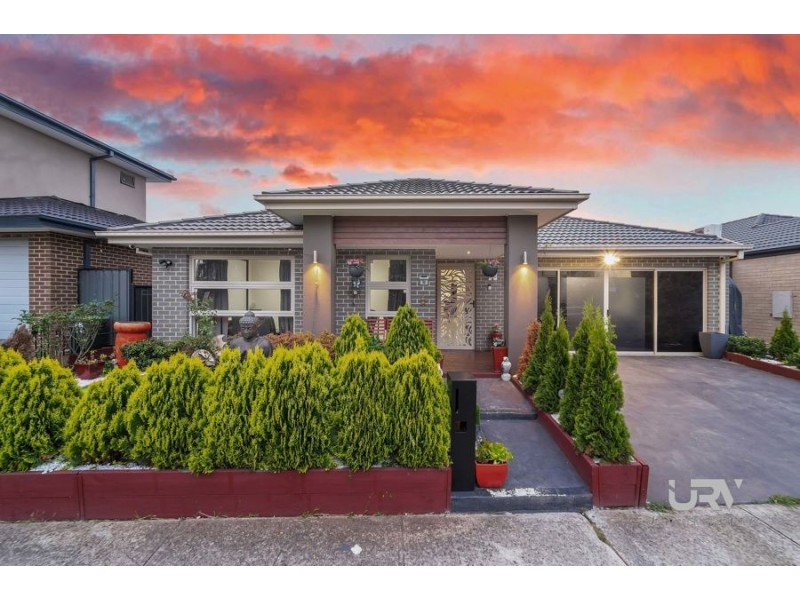 50 Gallantry Avenue, Craigieburn VIC 3064
