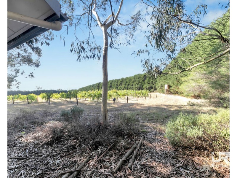 3 Vineyard Lane, Kilmore VIC 3764