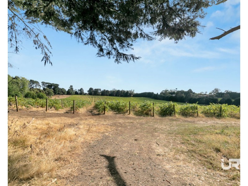 3 Vineyard Lane, Kilmore VIC 3764