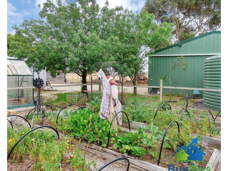 71 Primes court, Balliang East VIC 3340